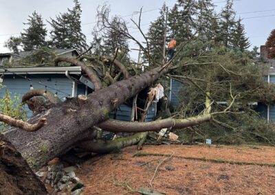 tree fell on house