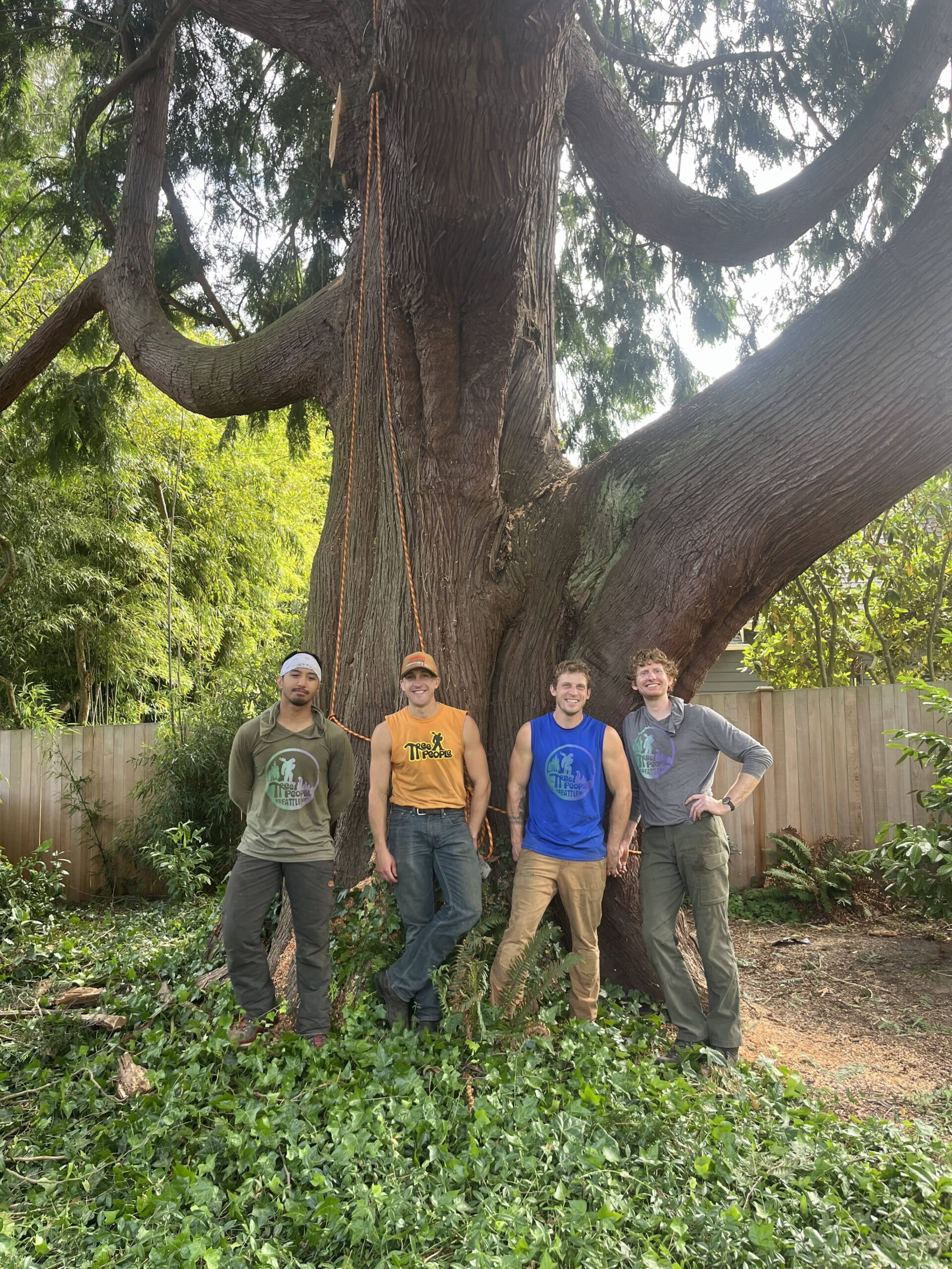 Tenessee Treepeople Queen Anne – Tree Pruning & Trimming - Tree People